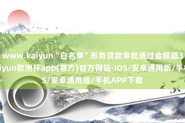 www.kaiyun“白名单”形势贷款审批通过金额超3万亿元-kaiyun欧洲杯app(官方)官方网站·IOS/安卓通用版/手机APP下载