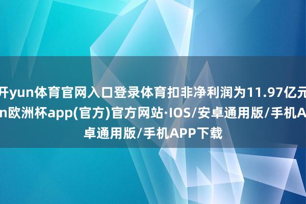 开yun体育官网入口登录体育扣非净利润为11.97亿元-kaiyun欧洲杯app(官方)官方网站·IOS/安卓通用版/手机APP下载