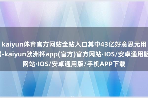kaiyun体育官方网站全站入口其中43亿好意思元用于购买现货火器-kaiyun欧洲杯app(官方)官方网站·IOS/安卓通用版/手机APP下载