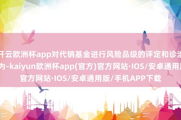 开云欧洲杯app对代销基金进行风险品级的评定和诊治是银行的自主行为-kaiyun欧洲杯app(官方)官方网站·IOS/安卓通用版/手机APP下载