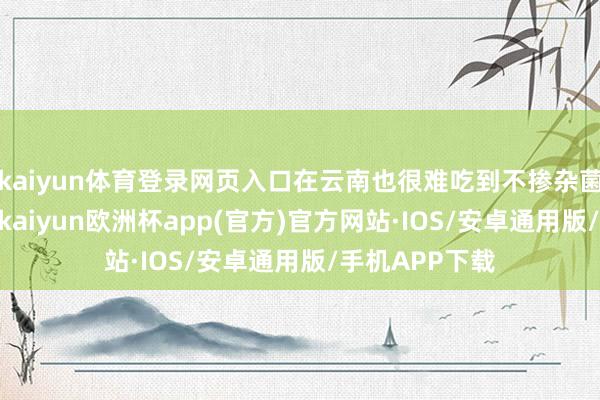 kaiyun体育登录网页入口在云南也很难吃到不掺杂菌的纯•鸡枞菌-kaiyun欧洲杯app(官方)官方网站·IOS/安卓通用版/手机APP下载