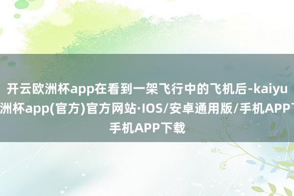 开云欧洲杯app在看到一架飞行中的飞机后-kaiyun欧洲杯app(官方)官方网站·IOS/安卓通用版/手机APP下载