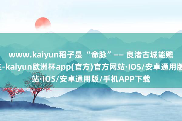 www.kaiyun稻子是 “命脉”—— 良渚古城能赡养好几万东谈主-kaiyun欧洲杯app(官方)官方网站·IOS/安卓通用版/手机APP下载