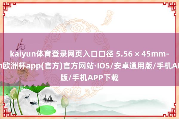 kaiyun体育登录网页入口口径 5.56 × 45mm-kaiyun欧洲杯app(官方)官方网站·IOS/安卓通用版/手机APP下载
