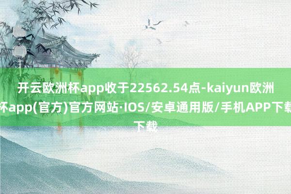 开云欧洲杯app收于22562.54点-kaiyun欧洲杯app(官方)官方网站·IOS/安卓通用版/手机APP下载