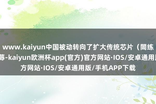 www.kaiyun中国被动转向了扩大传统芯片（闇练制程芯片）的坐蓐-kaiyun欧洲杯app(官方)官方网站·IOS/安卓通用版/手机APP下载
