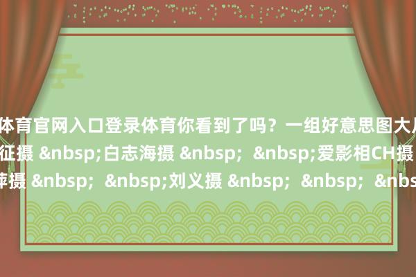 开yun体育官网入口登录体育你看到了吗?一组好意思图大片奉上! 温红征摄 白志海摄 爱影相CH摄 吴鲁萍摄 刘义摄 王建忠摄 朱文鑫摄 阎建庆摄作家:白志海 -kaiyun欧洲杯app(官方)官方网站·IOS/安卓通用版/手机APP下载