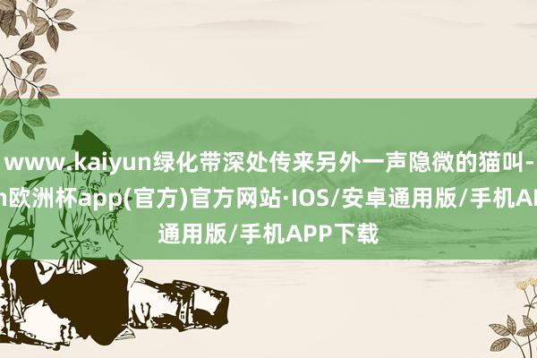 www.kaiyun绿化带深处传来另外一声隐微的猫叫-kaiyun欧洲杯app(官方)官方网站·IOS/安卓通用版/手机APP下载