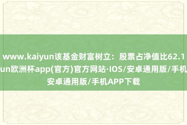 www.kaiyun该基金财富树立：股票占净值比62.18%-kaiyun欧洲杯app(官方)官方网站·IOS/安卓通用版/手机APP下载