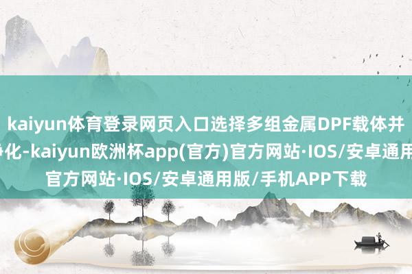 kaiyun体育登录网页入口选择多组金属DPF载体并归并构罢了高效净化-kaiyun欧洲杯app(官方)官方网站·IOS/安卓通用版/手机APP下载