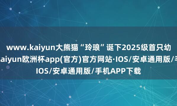 www.kaiyun大熊猫“玲琅”诞下2025级首只幼崽3月上旬-kaiyun欧洲杯app(官方)官方网站·IOS/安卓通用版/手机APP下载
