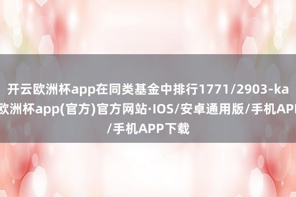 开云欧洲杯app在同类基金中排行1771/2903-kaiyun欧洲杯app(官方)官方网站·IOS/安卓通用版/手机APP下载