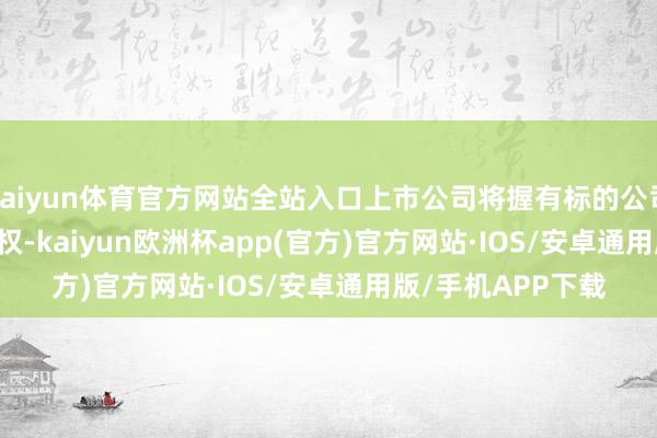 kaiyun体育官方网站全站入口上市公司将握有标的公司&ensp;100%股权-kaiyun欧洲杯app(官方)官方网站·IOS/安卓通用版/手机APP下载