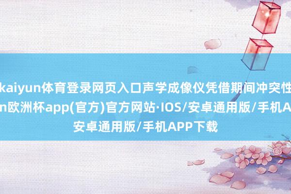 kaiyun体育登录网页入口声学成像仪凭借期间冲突性-kaiyun欧洲杯app(官方)官方网站·IOS/安卓通用版/手机APP下载